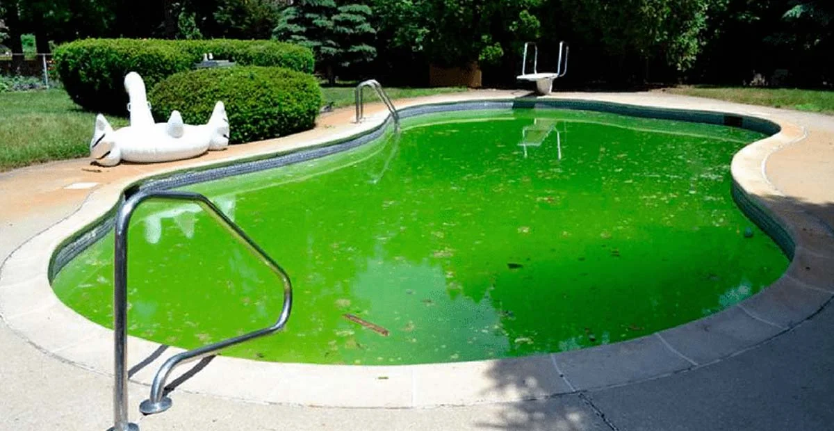 Eliminar algas verdes