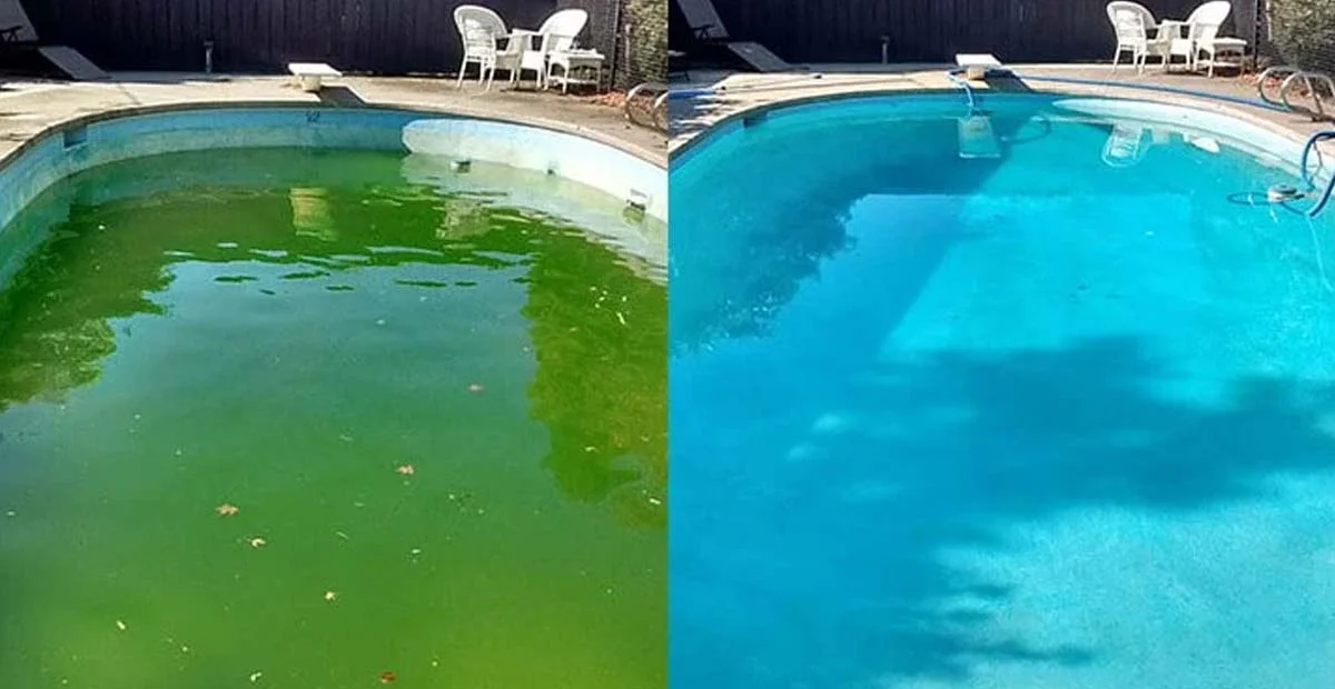Piscina verde a transparente